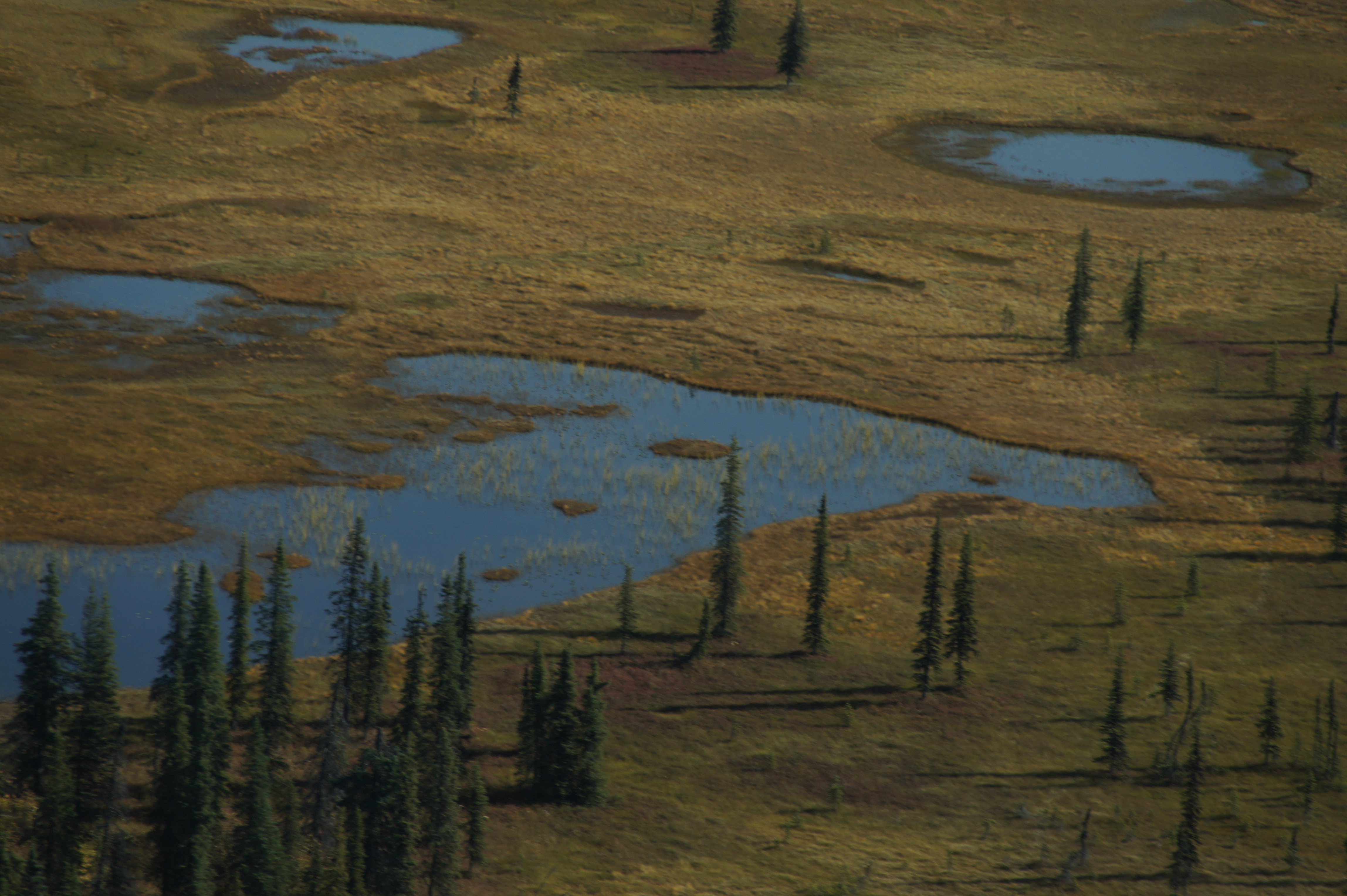 Click to return to the thumbnail index